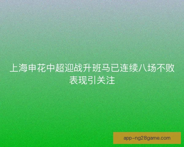 上海申花中超迎战升班马已连续八场不败表现引关注